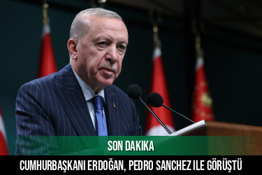 Cumhurbaşkanı Erdoğan, Pedro Sanchez ile görüştü
